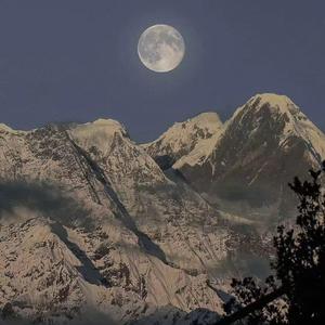 ▓成人蘑菇视频▓
