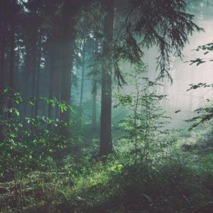 ▓成人蘑菇视频▓
